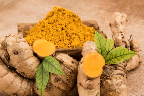 Why Is Curcumin Important?