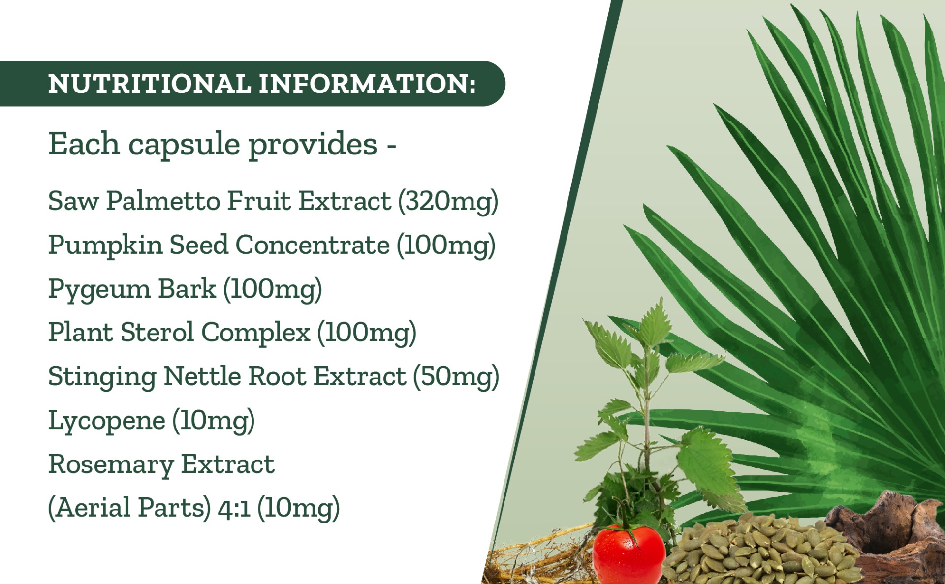 Prostate Support Supplement | ProstPlus