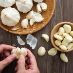 Science and Benefits of Garlic